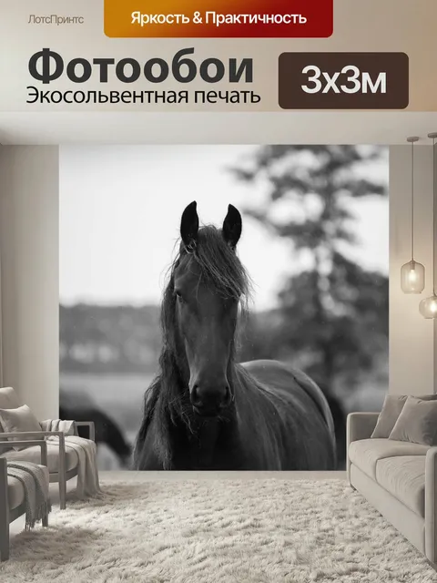 Фотообои Лошадь, лошади, природа