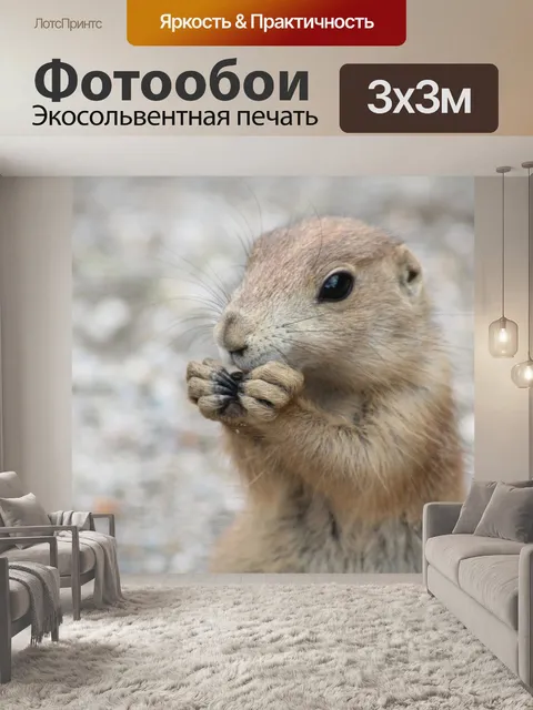 Фотообои Луговые собачки, зоопарк, животные