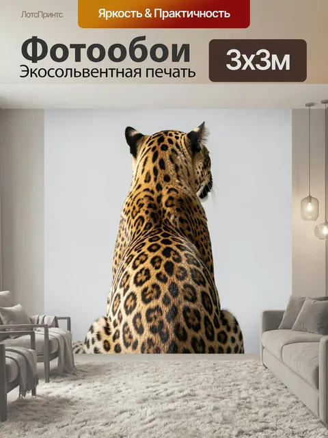 Фотообои Леопард со спины на светлом фоне. Хищная большая кошка с золотистой шерстью и выразительными пятнами, вид сза…