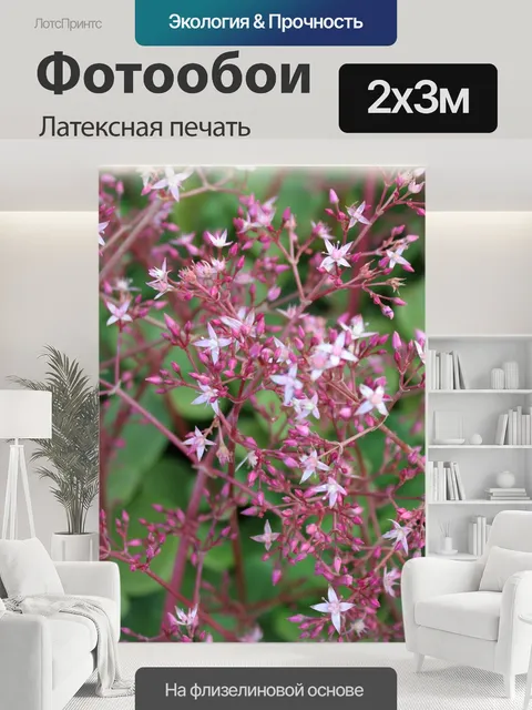 200 × 300 см · Латексная печать