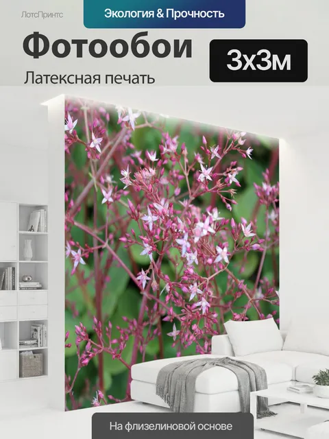 300 × 300 см · Латексная печать