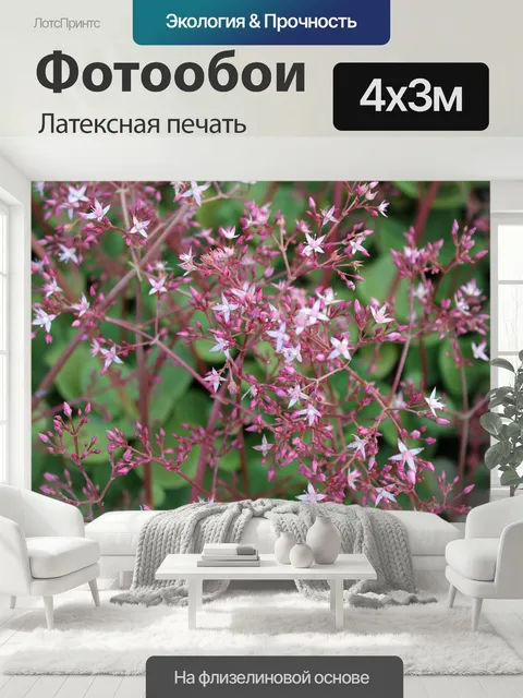 400 × 300 см · Латексная печать