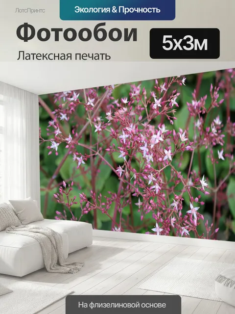 500 × 300 см · Латексная печать