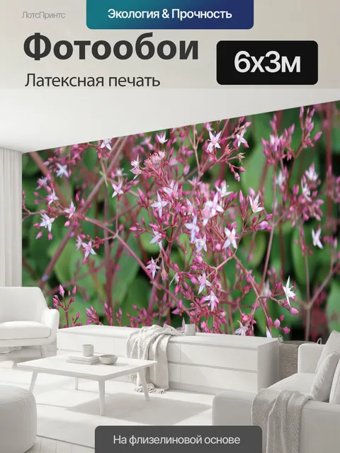 600 × 300 см · Латексная печать
