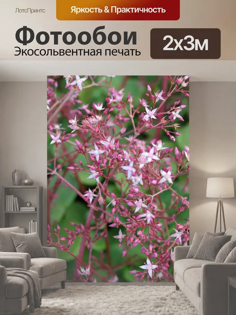 200 × 300 см · Экосольвентная печать