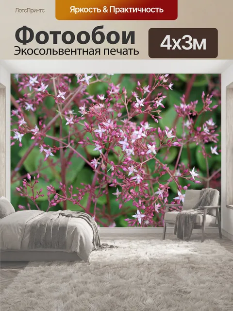 400 × 300 см · Экосольвентная печать