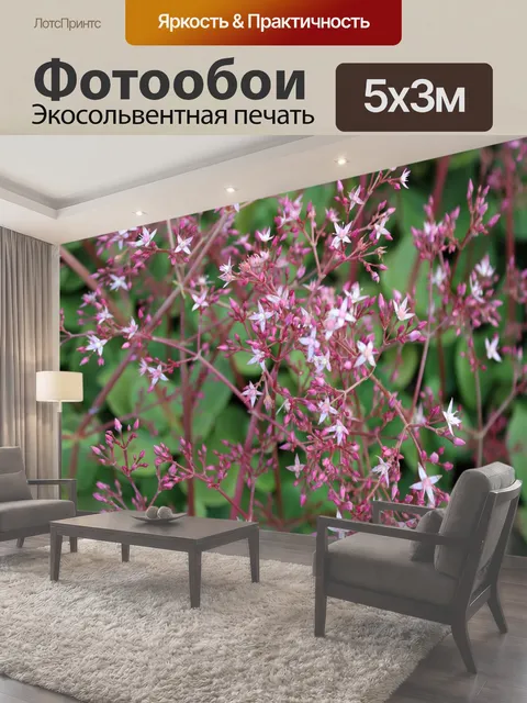 500 × 300 см · Экосольвентная печать