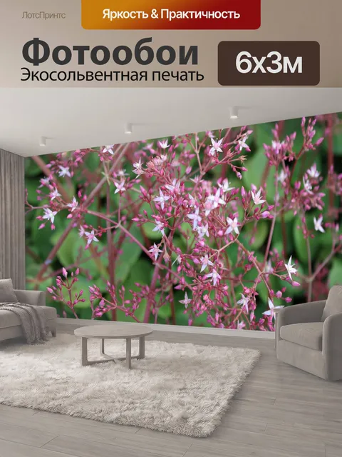 600 × 300 см · Экосольвентная печать