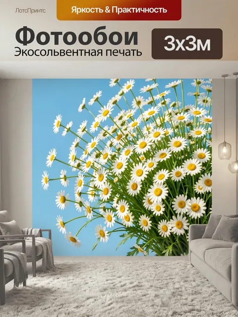 Фотообои Полевые ромашки на голубом фоне. Нежный летний букет полевых цветов с белыми лепестками и жёлтыми сердцевинам…