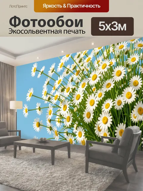 Фотообои Полевые ромашки на голубом фоне