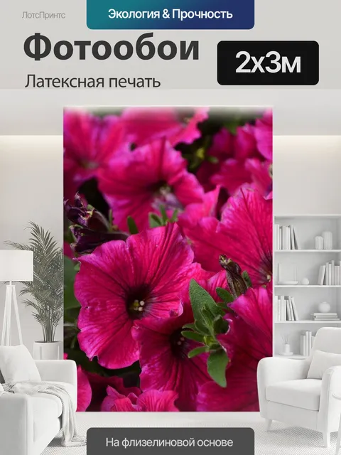 200 × 300 см · Латексная печать