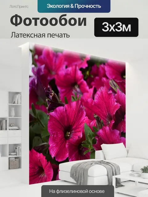 300 × 300 см · Латексная печать