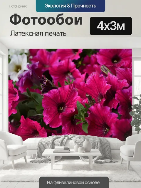 400 × 300 см · Латексная печать