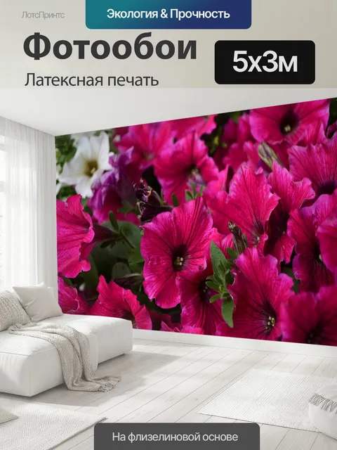 500 × 300 см · Латексная печать