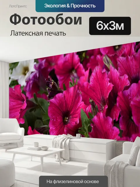 600 × 300 см · Латексная печать