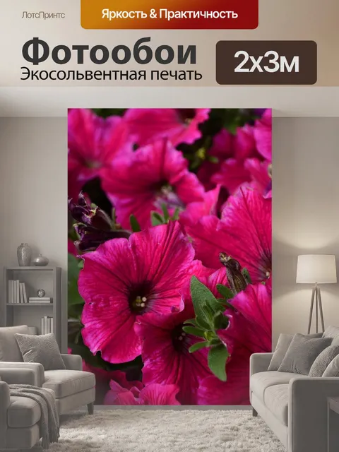 200 × 300 см · Экосольвентная печать