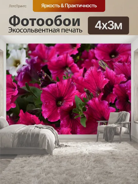 400 × 300 см · Экосольвентная печать