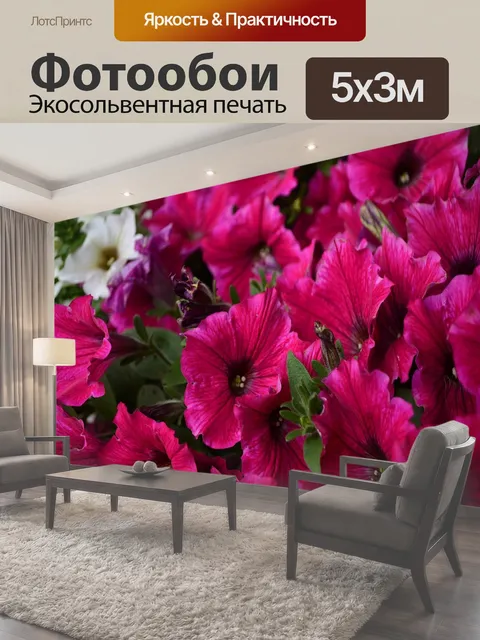 500 × 300 см · Экосольвентная печать