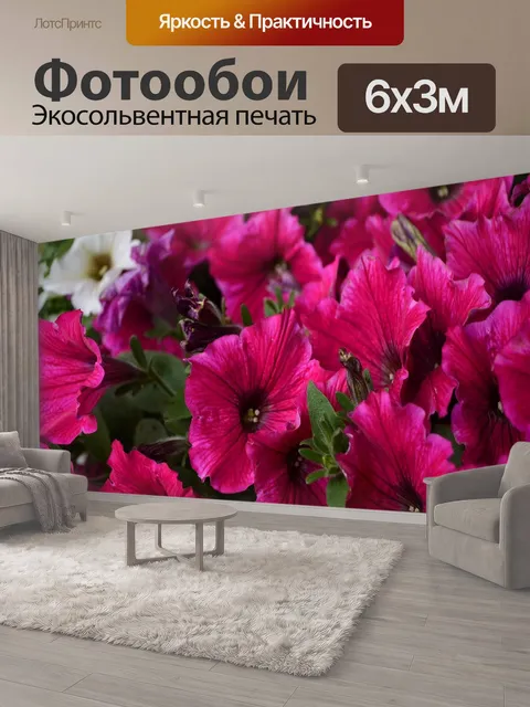 600 × 300 см · Экосольвентная печать