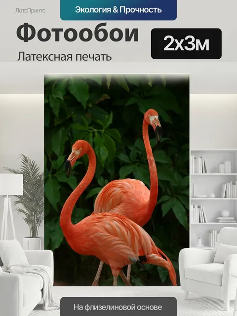 200 × 300 см · Латексная печать