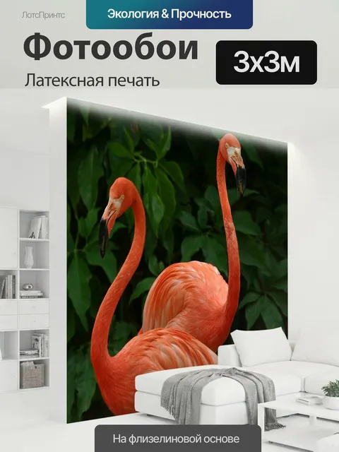 300 × 300 см · Латексная печать