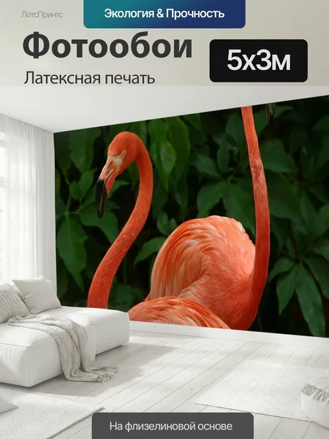 500 × 300 см · Латексная печать