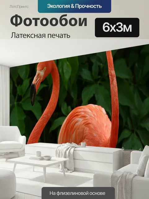 600 × 300 см · Латексная печать