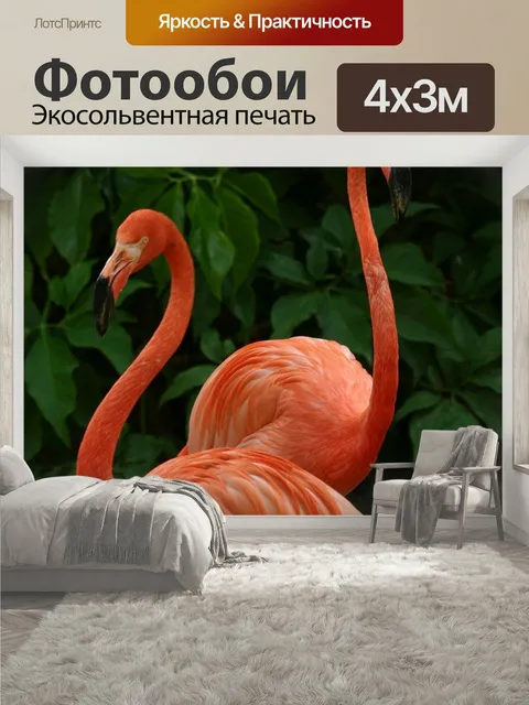 400 × 300 см · Экосольвентная печать