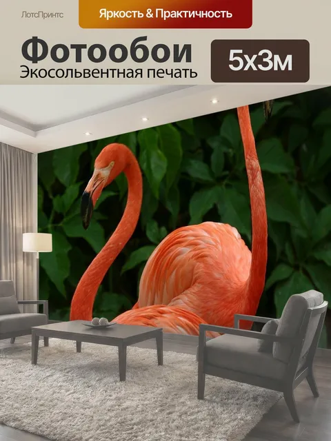 500 × 300 см · Экосольвентная печать