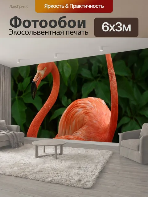 600 × 300 см · Экосольвентная печать
