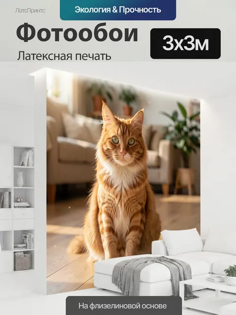 300 × 300 см · Латексная печать