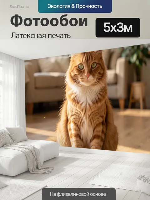 500 × 300 см · Латексная печать