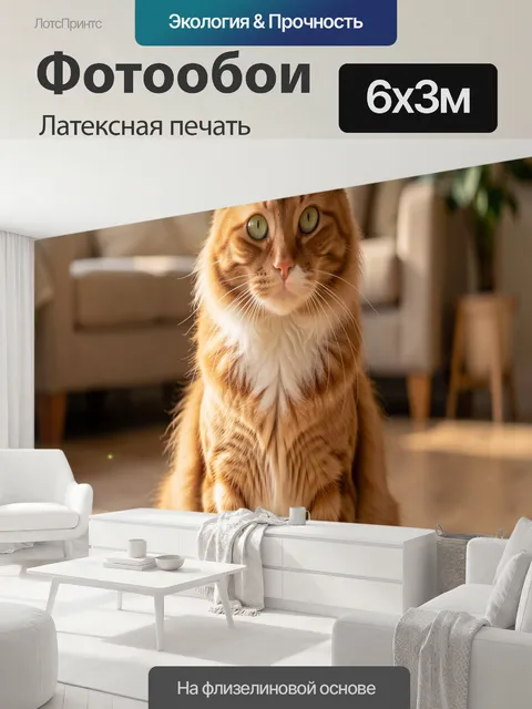 600 × 300 см · Латексная печать