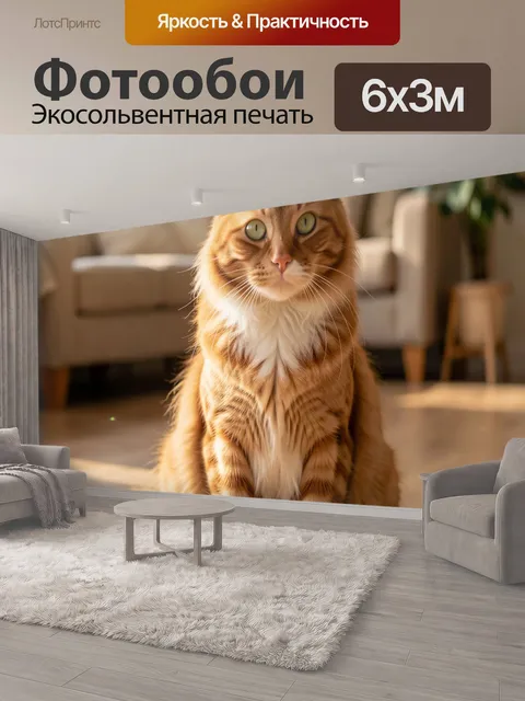 600 × 300 см · Экосольвентная печать