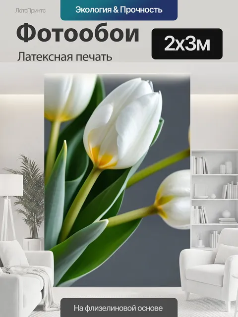 200 × 300 см · Латексная печать