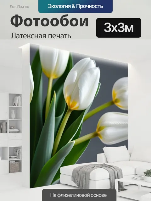 300 × 300 см · Латексная печать