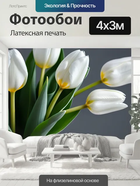 400 × 300 см · Латексная печать