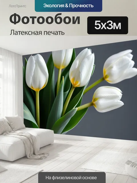 500 × 300 см · Латексная печать