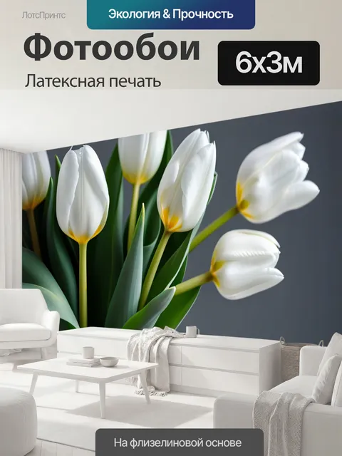 600 × 300 см · Латексная печать