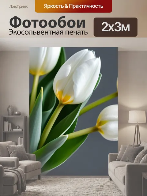 200 × 300 см · Экосольвентная печать