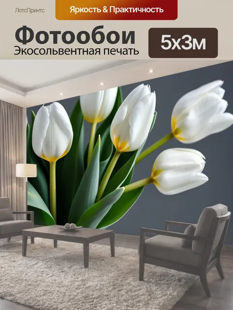 500 × 300 см · Экосольвентная печать