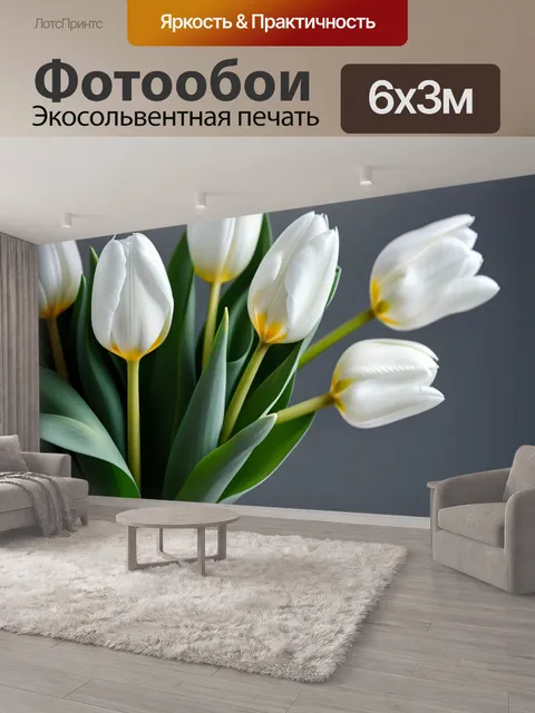 600 × 300 см · Экосольвентная печать