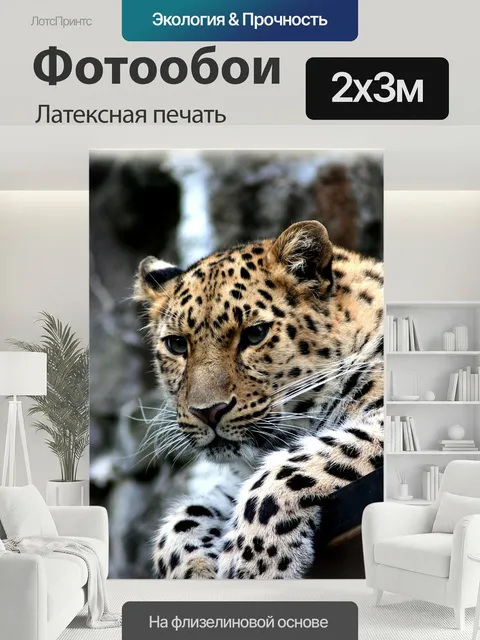 200 × 300 см · Латексная печать