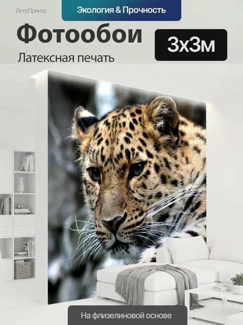 300 × 300 см · Латексная печать
