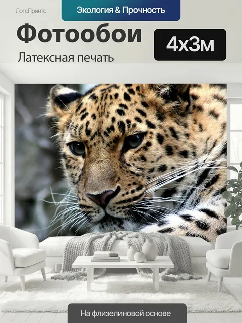 400 × 300 см · Латексная печать