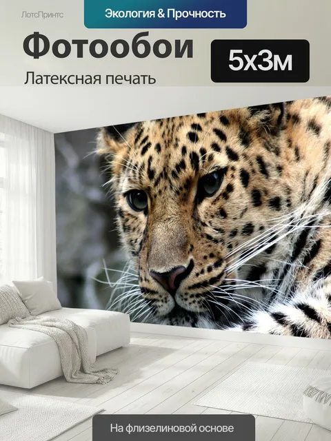500 × 300 см · Латексная печать