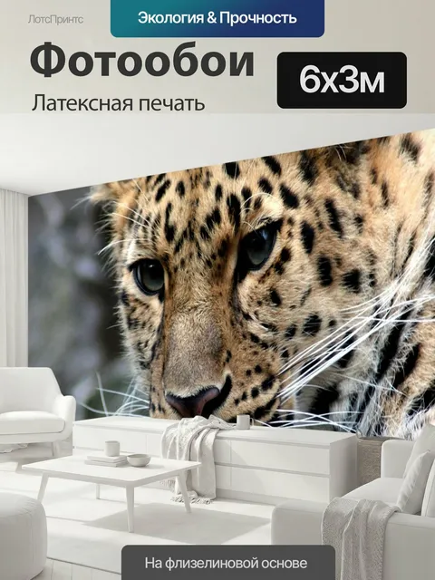 600 × 300 см · Латексная печать