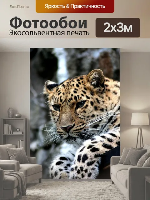 200 × 300 см · Экосольвентная печать