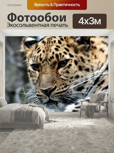 400 × 300 см · Экосольвентная печать