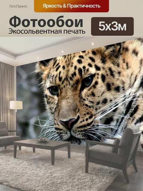 500 × 300 см · Экосольвентная печать